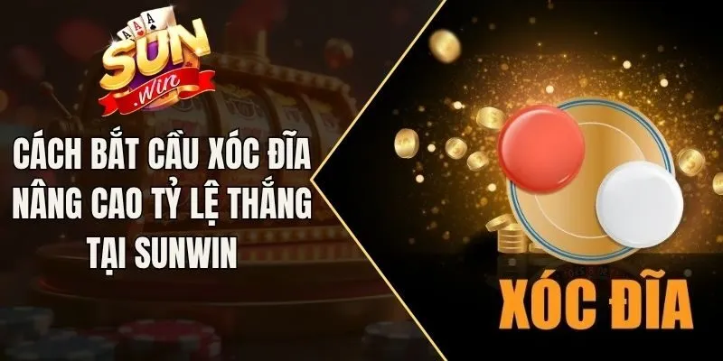 Cách Bắt Cầu Xóc Đĩa Nâng Cao Tỷ Lệ Thắng Tại Sunwin